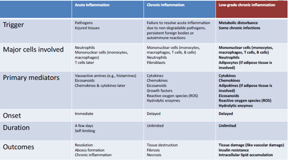 Acute Chronic Low Grade Chronic Types of Inflammation - 1 - Best Personal Trainer Abhinav Malhotra Dubai UAE